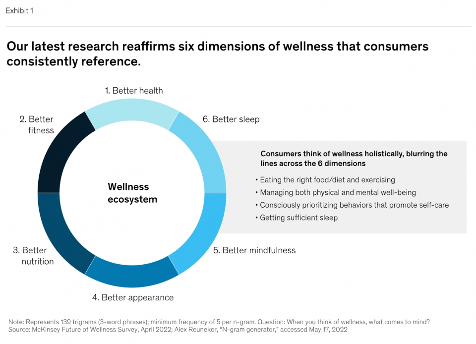 글로벌 컨설팅, 리서치 업체 맥킨지는 웰니스에 포함된 범주를 건강, 피트니스, 수면, 영양, 외모, 마음챙김으로 정의하고 있다.